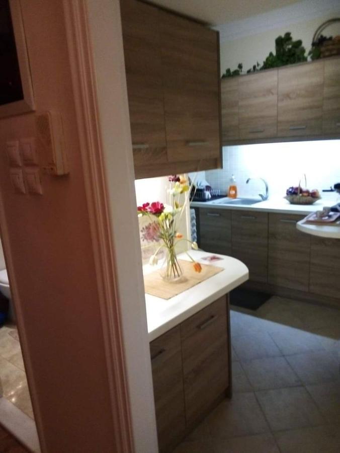 Sylvia' S Apartments เอเธนส์ ภายนอก รูปภาพ