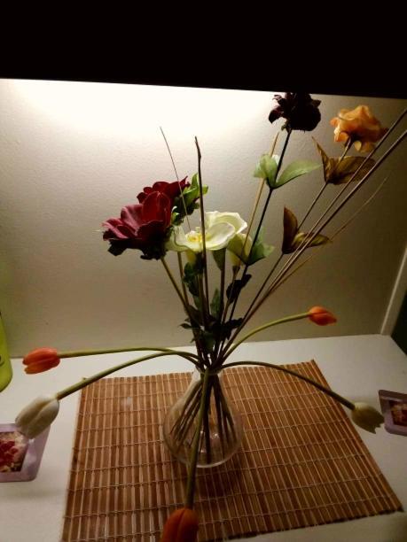 Sylvia' S Apartments เอเธนส์ ภายนอก รูปภาพ